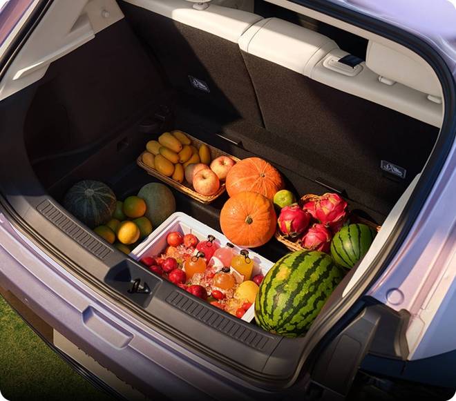 极狐T1是“闭眼入”的最佳选择？冰球突破平台10万预算为什么说(图2)